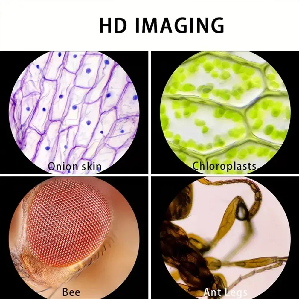 Çocuklar için Cep Mikroskobu | - Outdoor Adventure Microscope incelemesi ve fiyatı